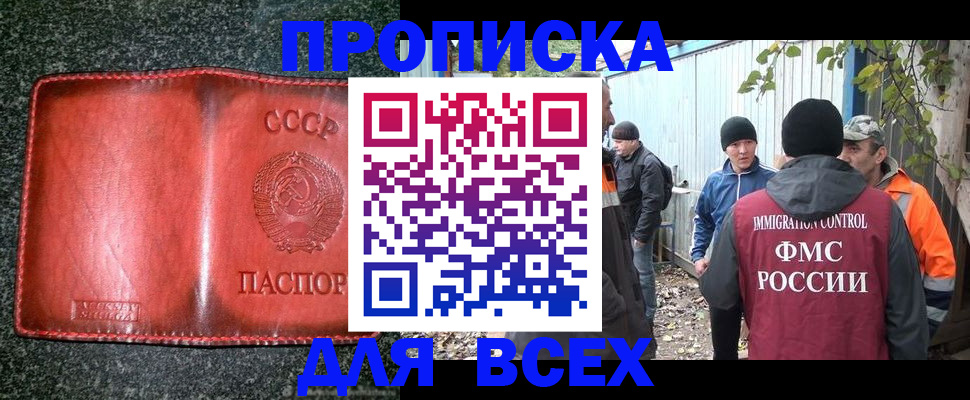 временная регистрация поиск в Долгопрудном